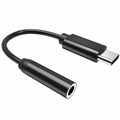 Usb c naar jack