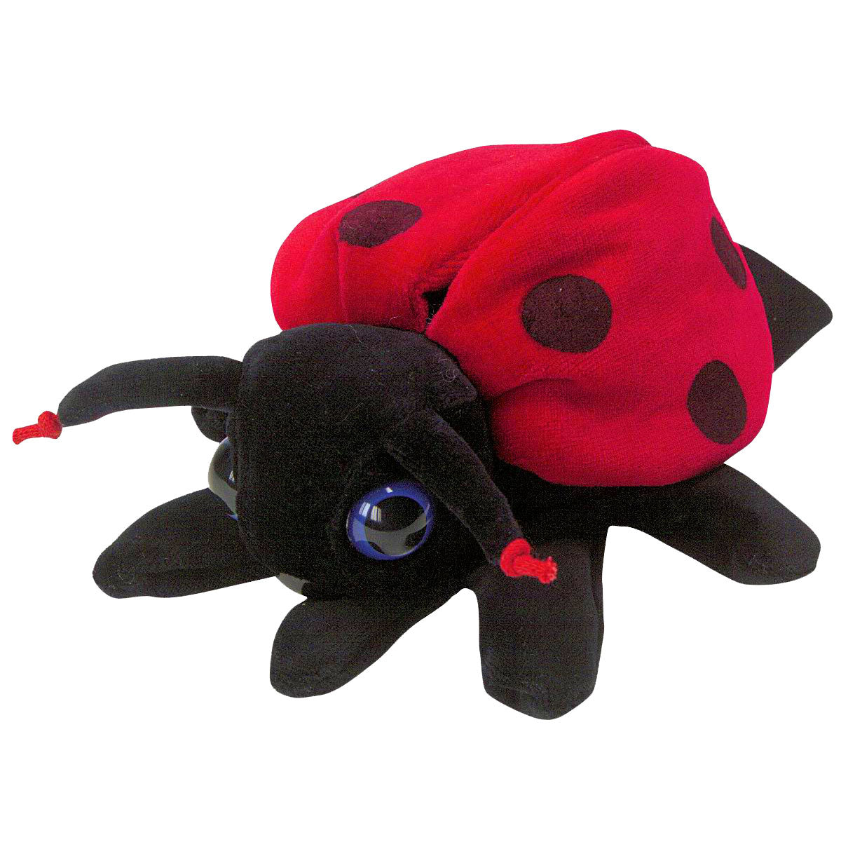 Beleduc handpop hond