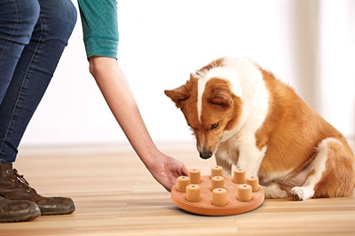 Nina Ottosson Hund Smart Composite