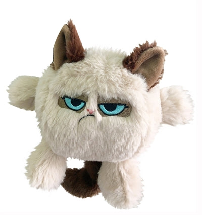 Grumpy cat Kattenkop