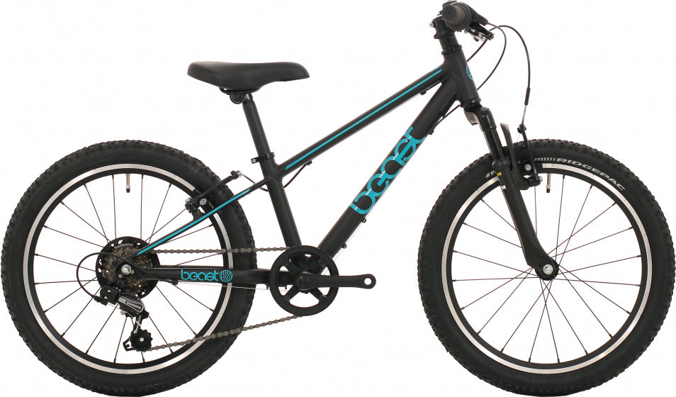 Bikefun The 20 Inch 26 cm Jongens 6V V-Brakes Zwart Blauw