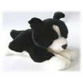 Border Collie Welpe, 29 cm