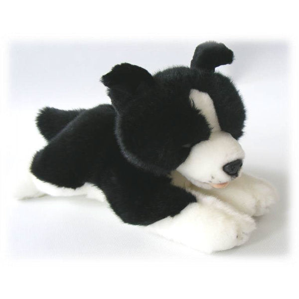 Border Collie Welpe, 29 cm