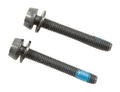 bouten voor schijfremklauw achter 39 mm 2 stuks