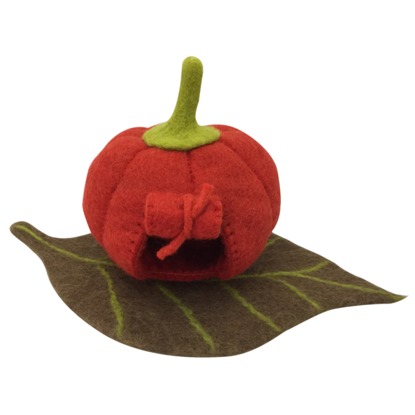 Papoose Toys Papoose Toys Fairy Pumpkin House and Mat