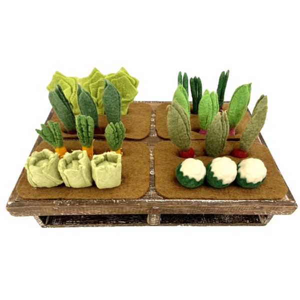 Papoose Toys Papoose Toys Grow-a-Garden 24pc