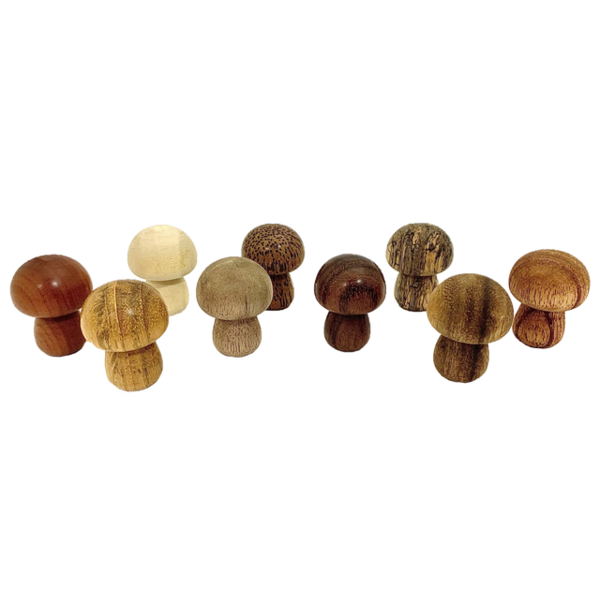 Papoose Toys Papoose Toys Mini WW Mushrooms 9pc