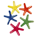 Papoose Toys Papoose Toys Sea Star Laevigata 5pc